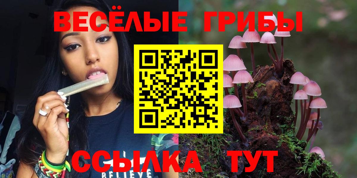 Псилоцибиновые грибы мухоморы Ижевск